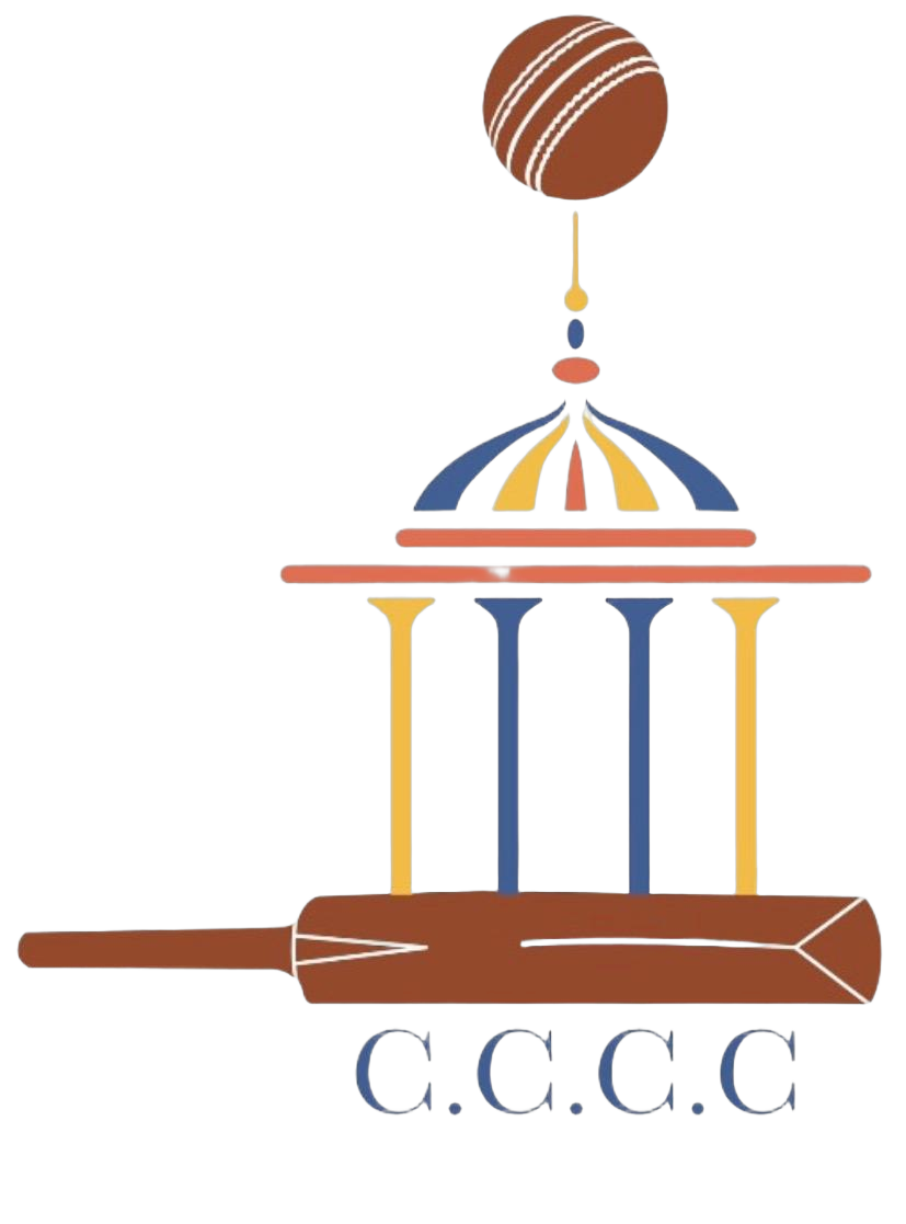 Remove the white background from the cricket ball image.