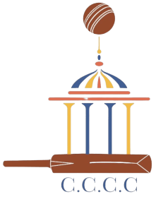 Remove the white background from the cricket ball image.